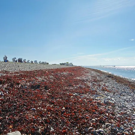 Apartament Feldblick-wohnung In Der N He Der Ostsee