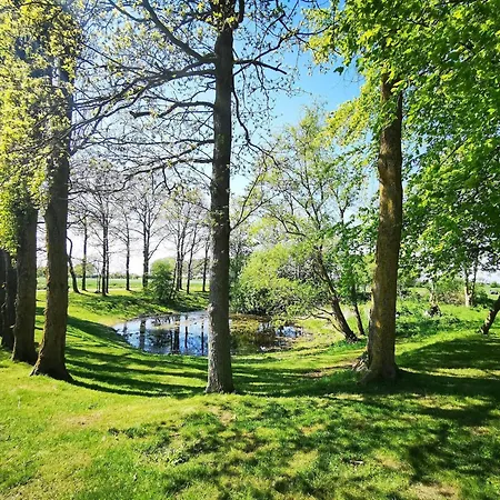 Feldblick-wohnung In Der N He Der Ostsee