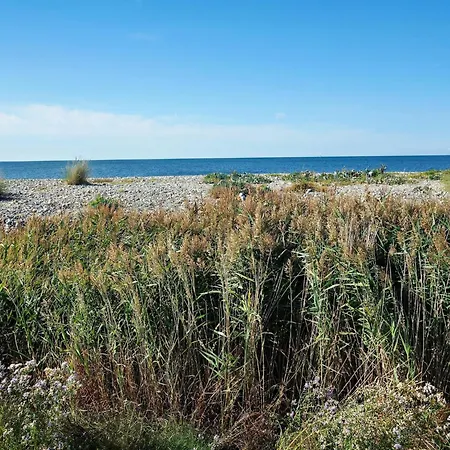 Feldblick-wohnung In Der N He Der Ostsee Apartament *