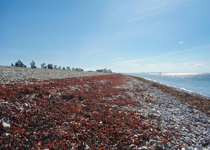 Lägenhet Feldblick-wohnung In Der N He Der Ostsee